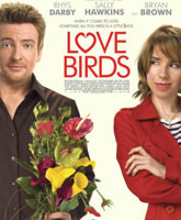 Love Birds /  